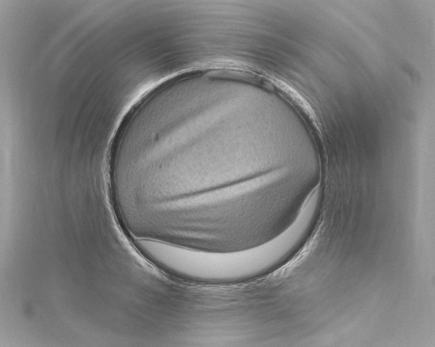 X0000115160989200911171258