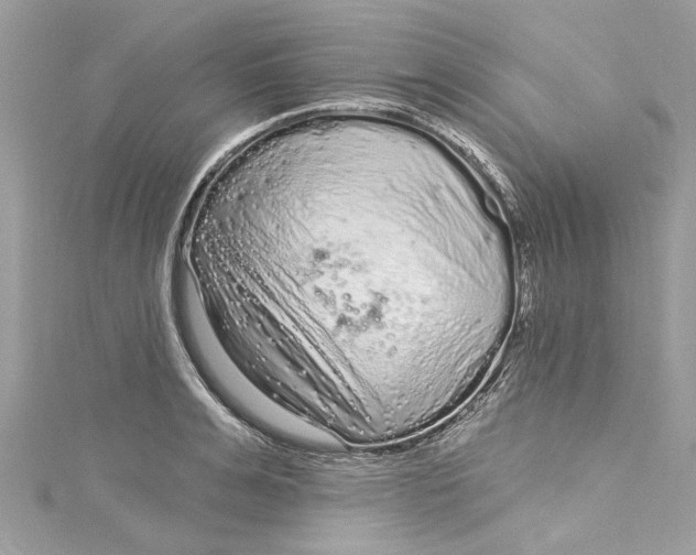 X0000115160991200911171258