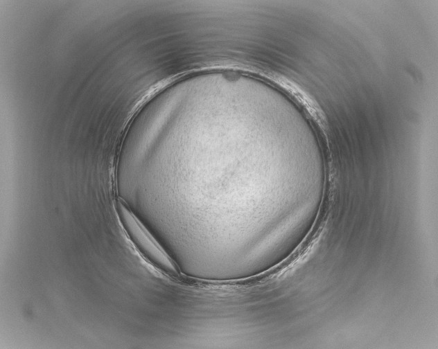 X0000115160993200911171258