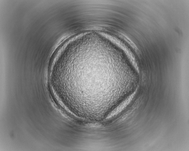 X0000115160994200911171258