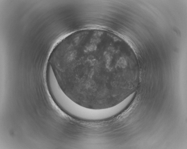 X0000115160995200911171258