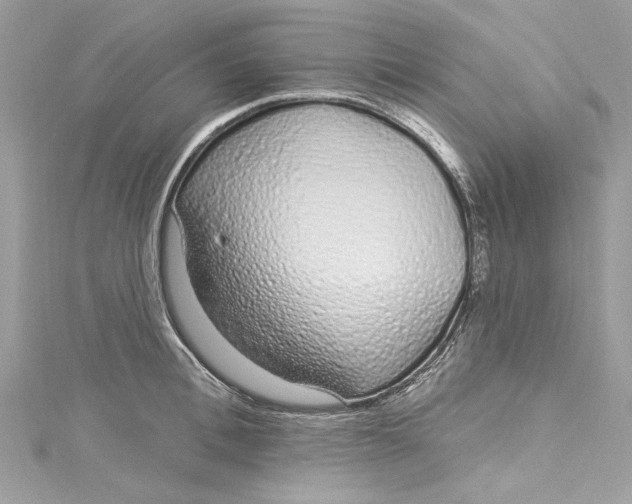 X0000115160996200911171258