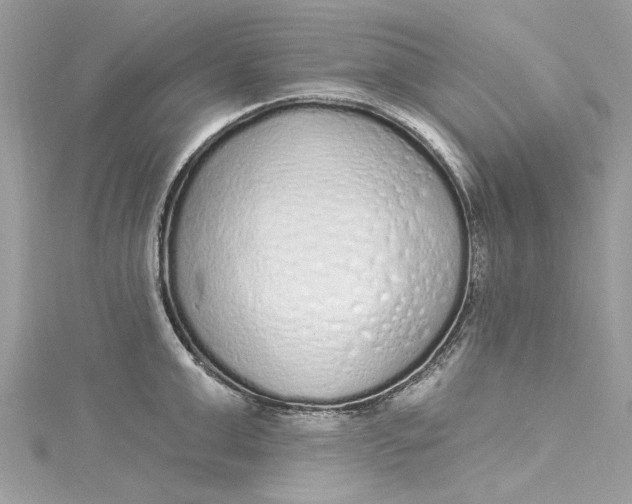 X0000115160999200911171258