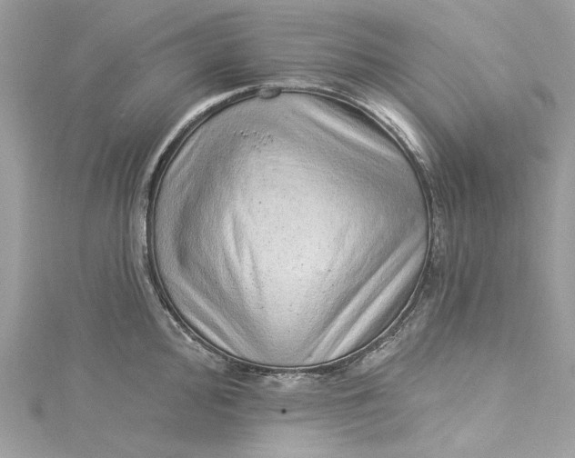 X0000115161000200911171258