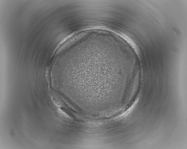 X0000115161001200911171258