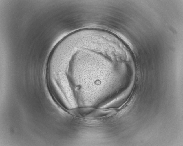 X0000115161007200911171258