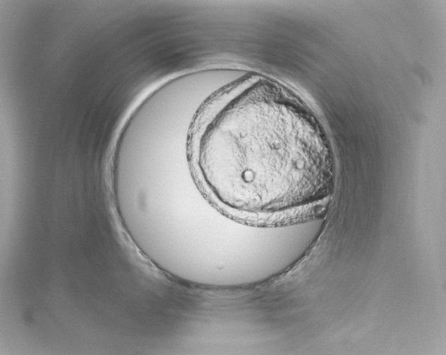 X0000115161008200911171258