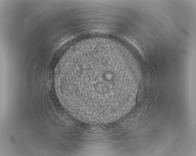 X0000115161015200911171257