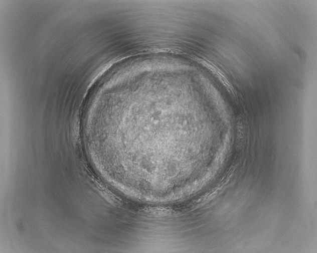 X0000115161023200911171257