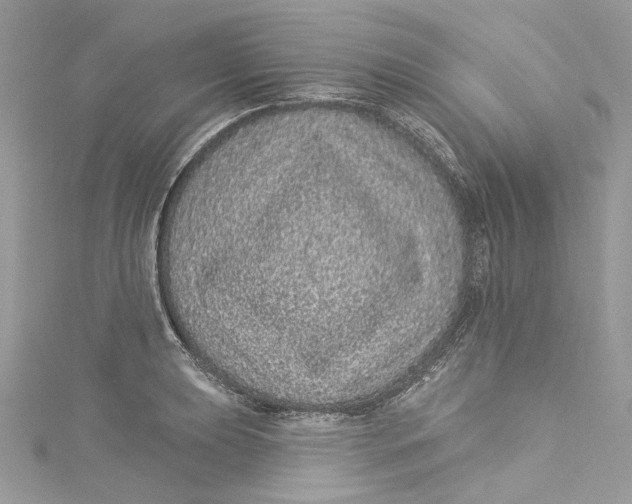 X0000115161039200911171257