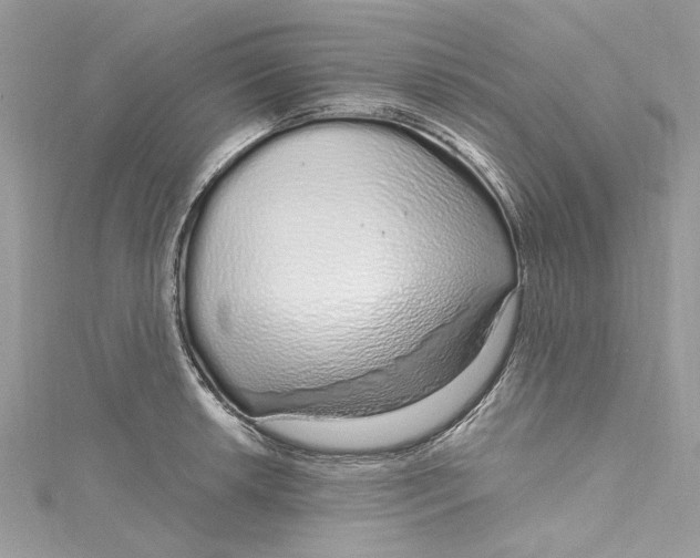 X0000115161042200911171257