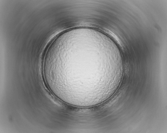 X0000115161043200911171257