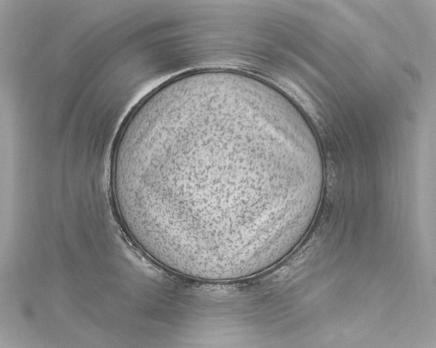 X0000115161044200911171257