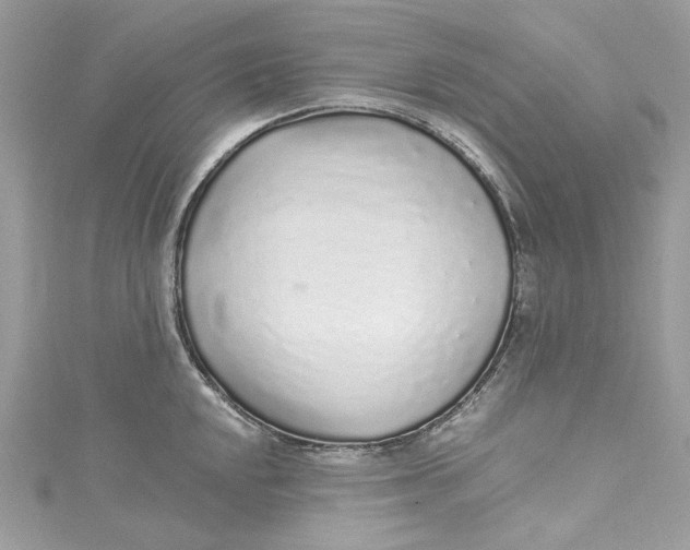 X0000115161048200911171257