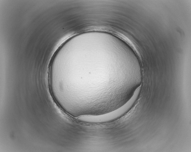 X0000115161050200911171258