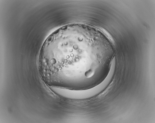 X0000115161052200911171258