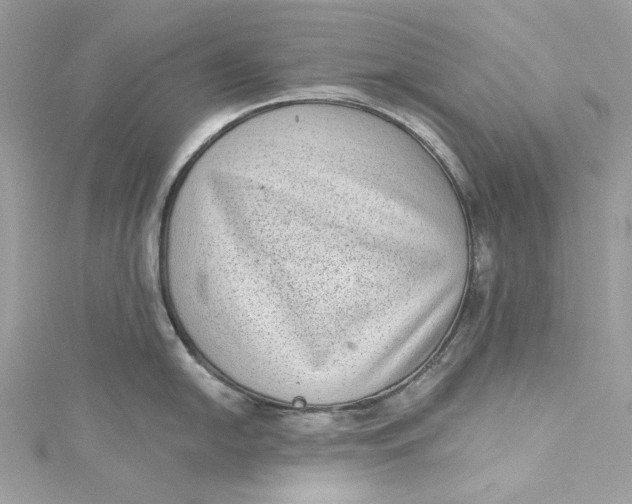 X0000115161054200911171258