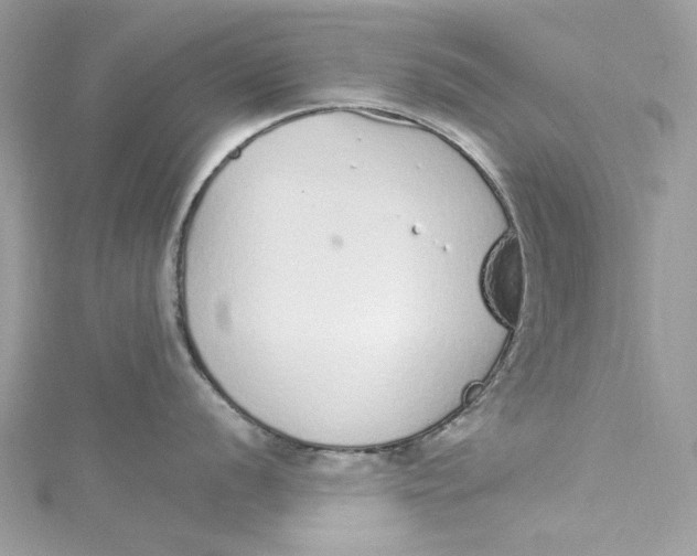 X0000115161056200911171258