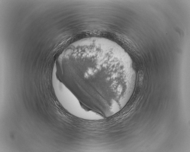 X0000115161060200911171257