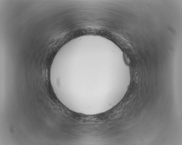 X0000115161061200911171257