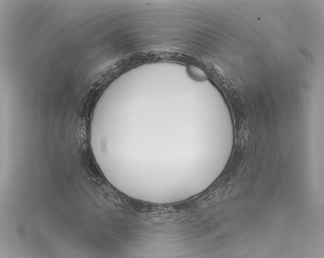 X0000115161062200911171257