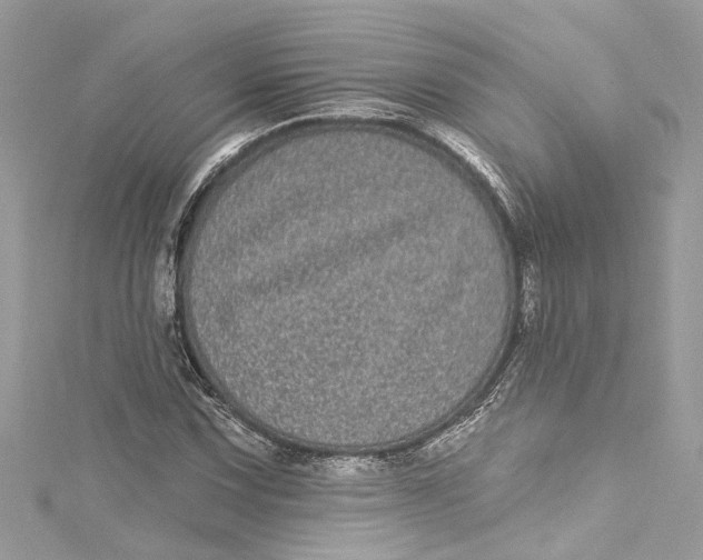 X0000115161067200911171257