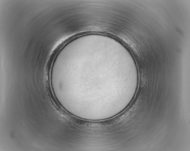 X0000115161070200911171257