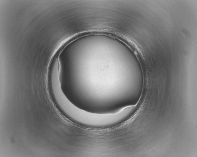 X0000115161077200911171257