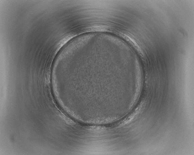 X0000115161081200911171257
