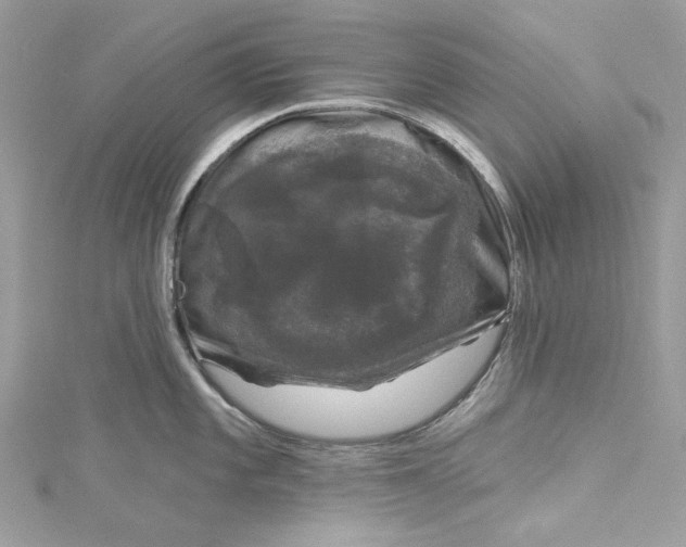 X0000115161101200911171256