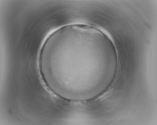 X0000115161104200911171256
