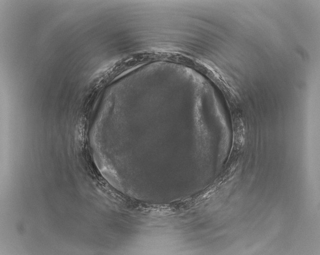 X0000115161110200911171256