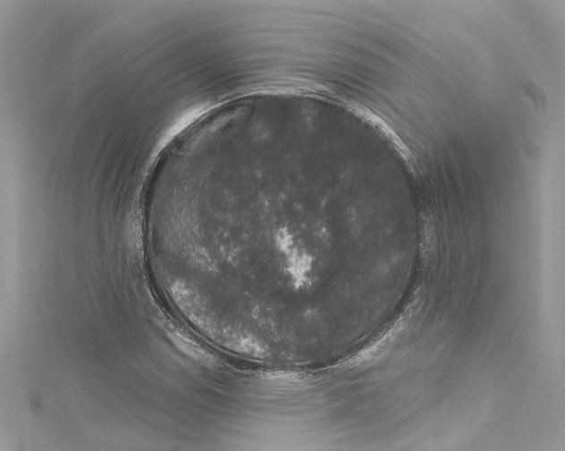 X0000115161114200911171256