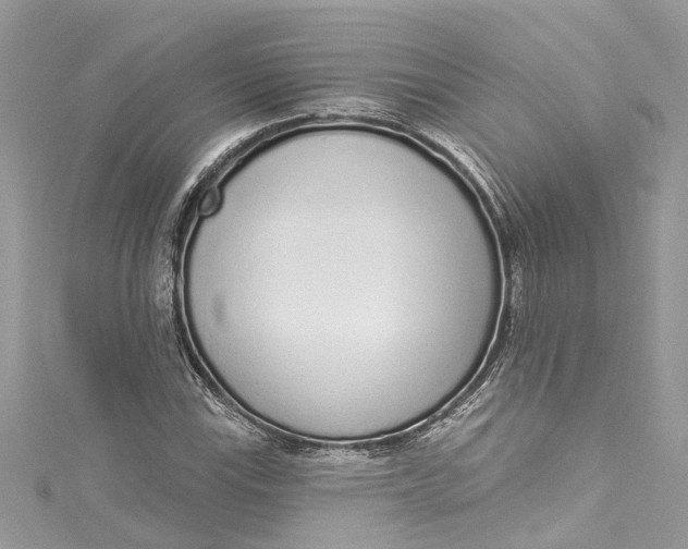 X0000115161115200911171256