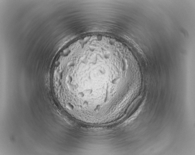 X0000115161121200911171256