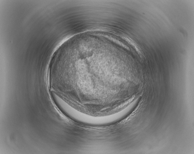 X0000115161127200911171256