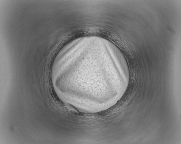 X0000115161153200911171256