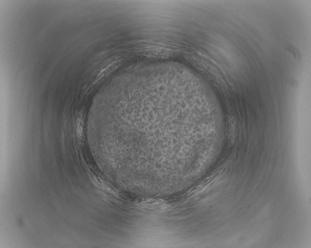X0000115161154200911171256