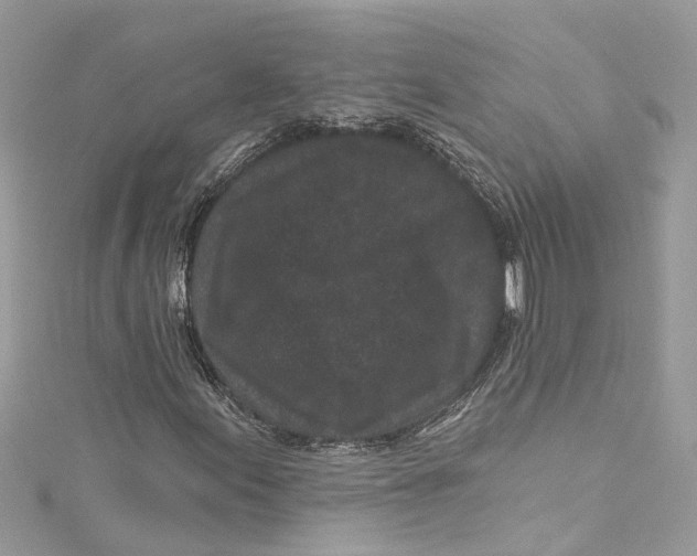 X0000115161155200911171256