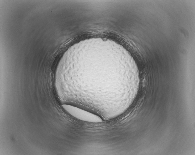 X0000115161156200911171256