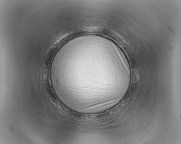 X0000115161158200911171256