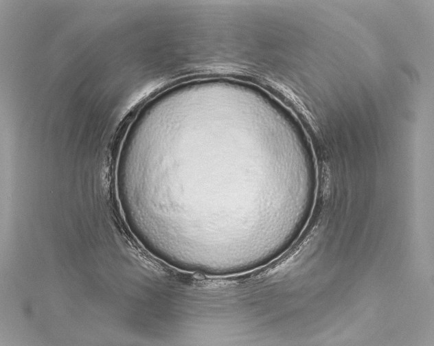 X0000115161163200911171256