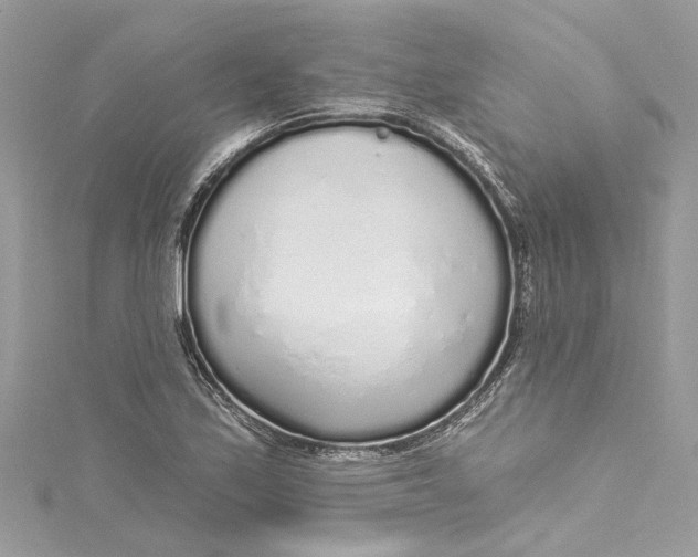 X0000115161171200911171256