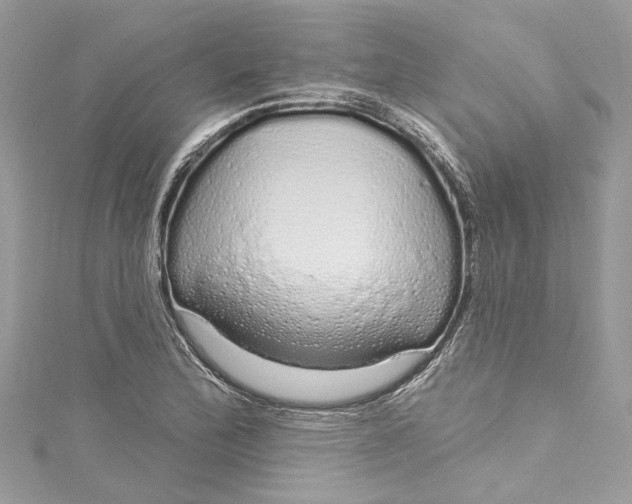 X0000115161172200911171256