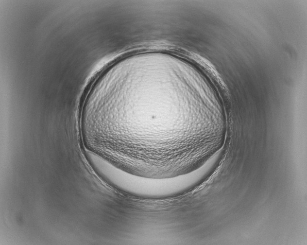X0000115161176200911171255