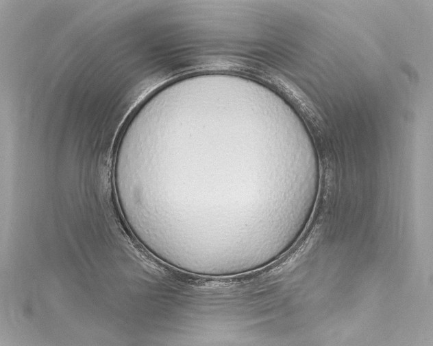 X0000115161178200911171255