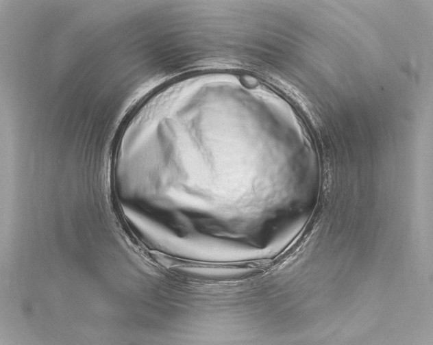 X0000115161179200911171255