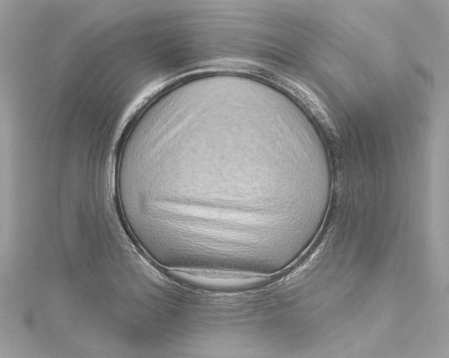 X0000115161180200911171255