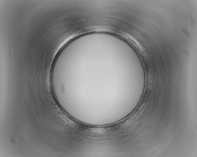 X0000115161182200911171255