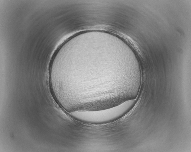X0000115161184200911171255